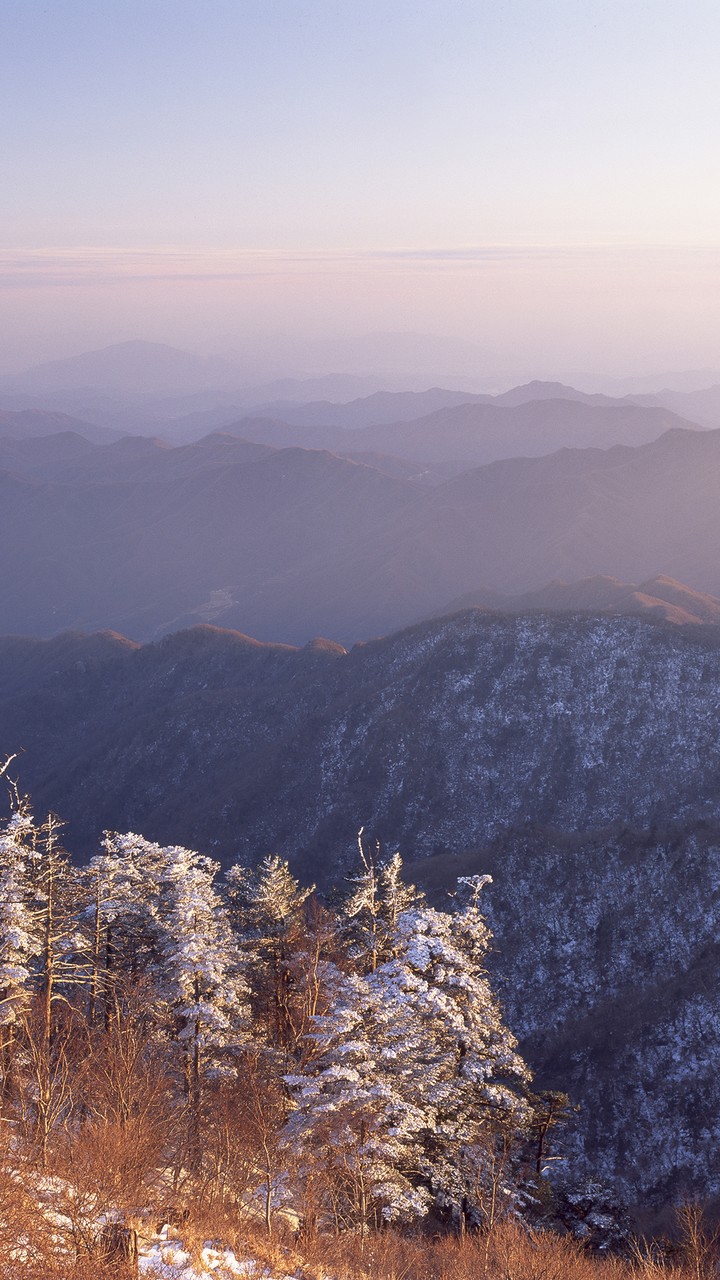 Mountain