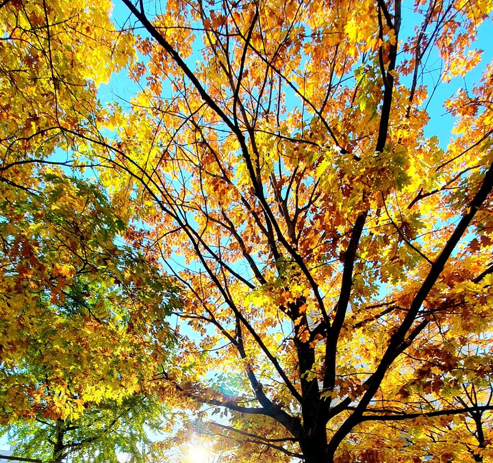 autunno