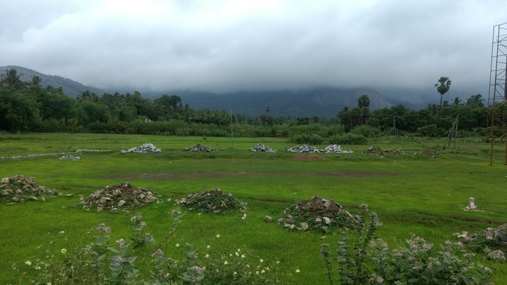 beauty of nature