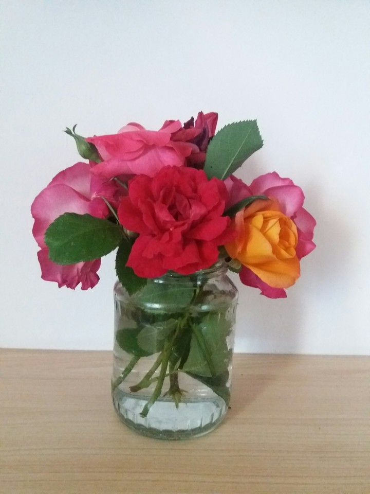 Roses