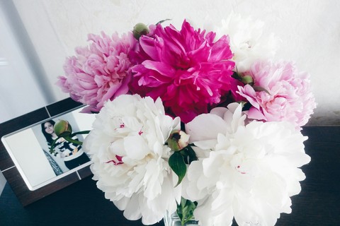 floristry, pink桌布