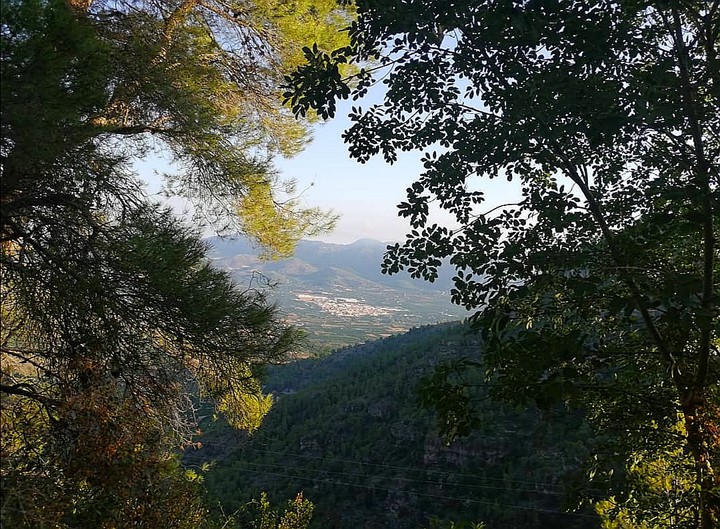Nature