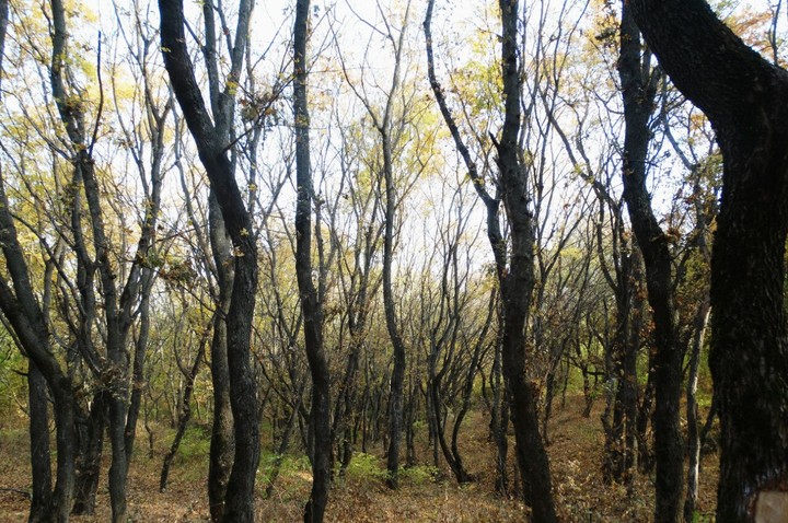 осень