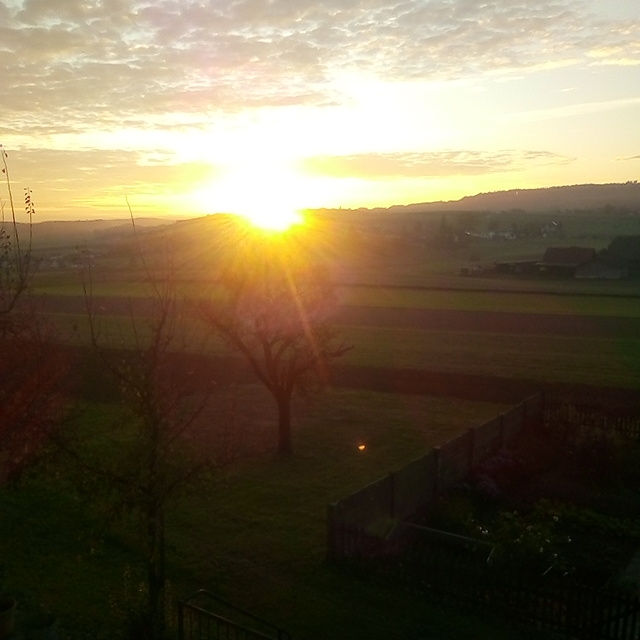 Beautiful Morning