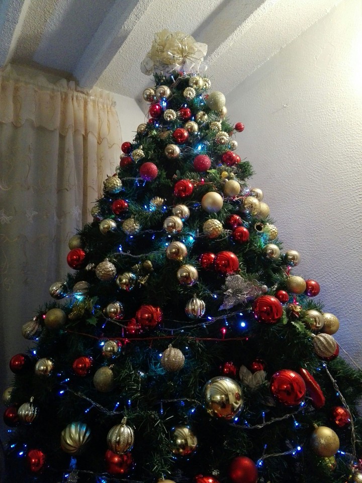 Navidad