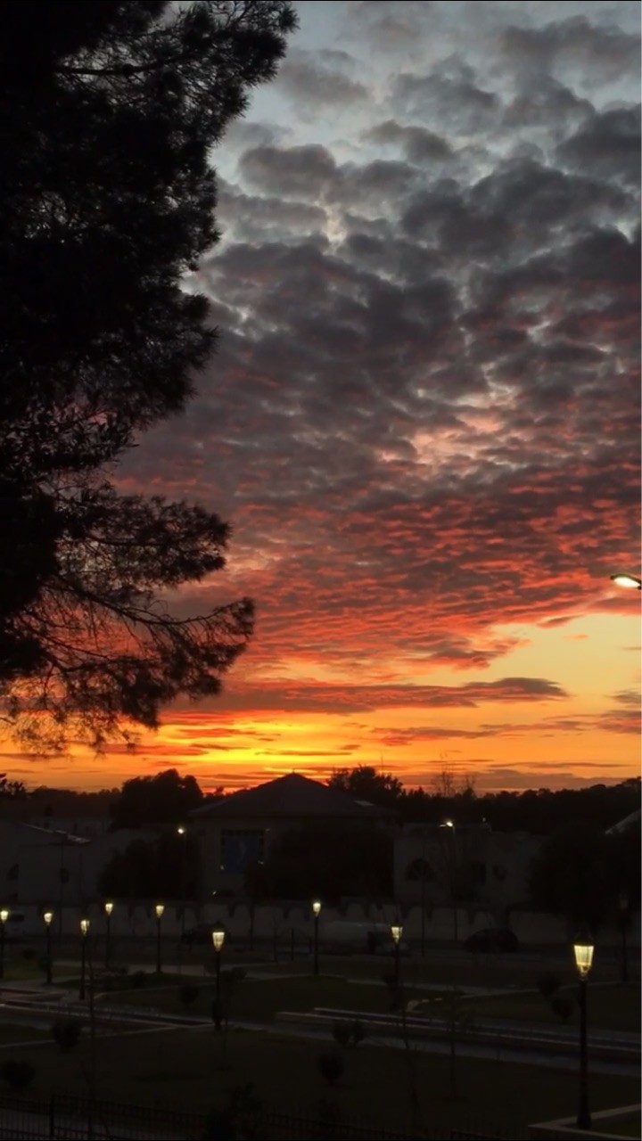 sunset