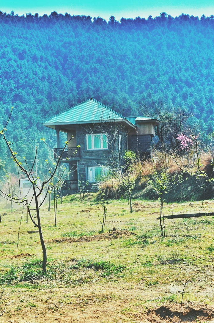 #Tral_Kashmir