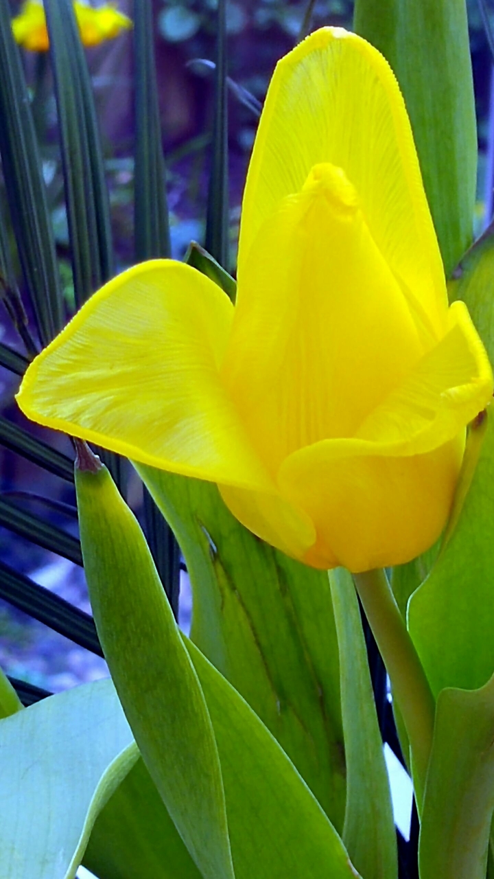 Springtime