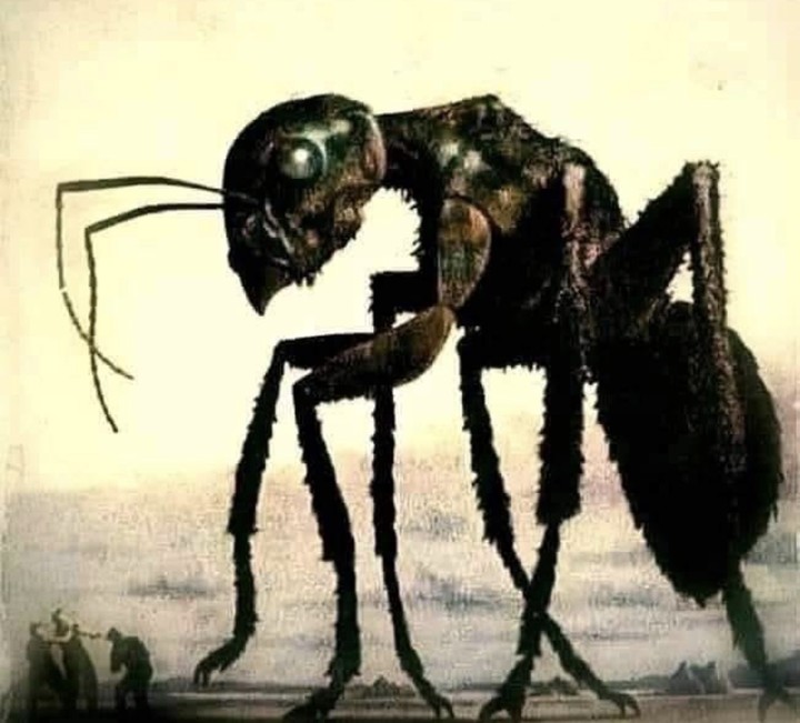 .
