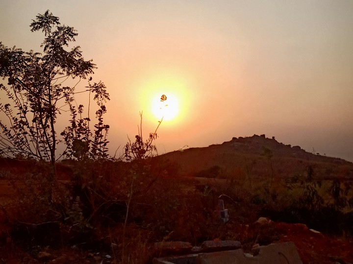 GAJENDRA SINGHAM
