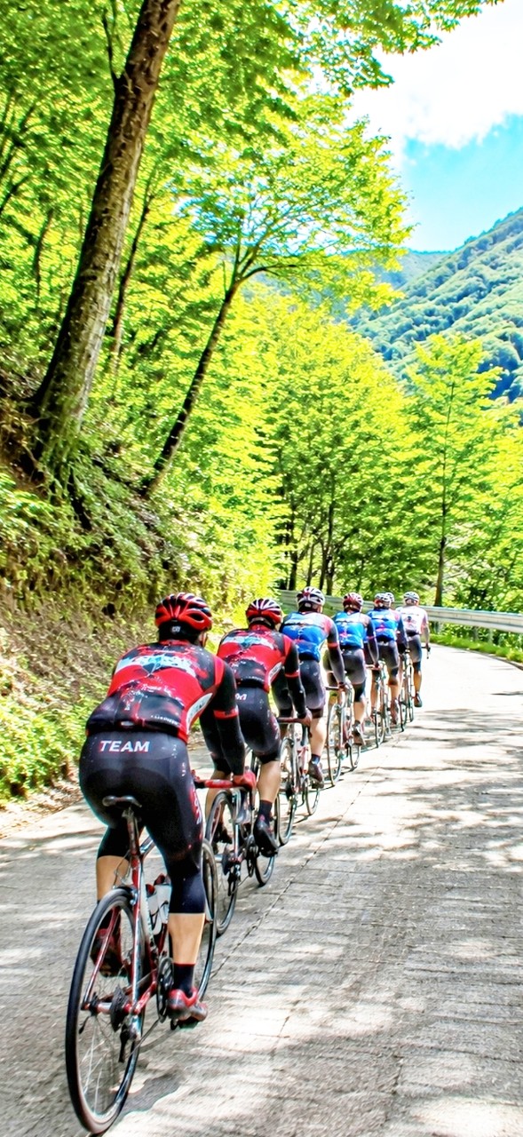 fondos de pantalla cycling, bycycle