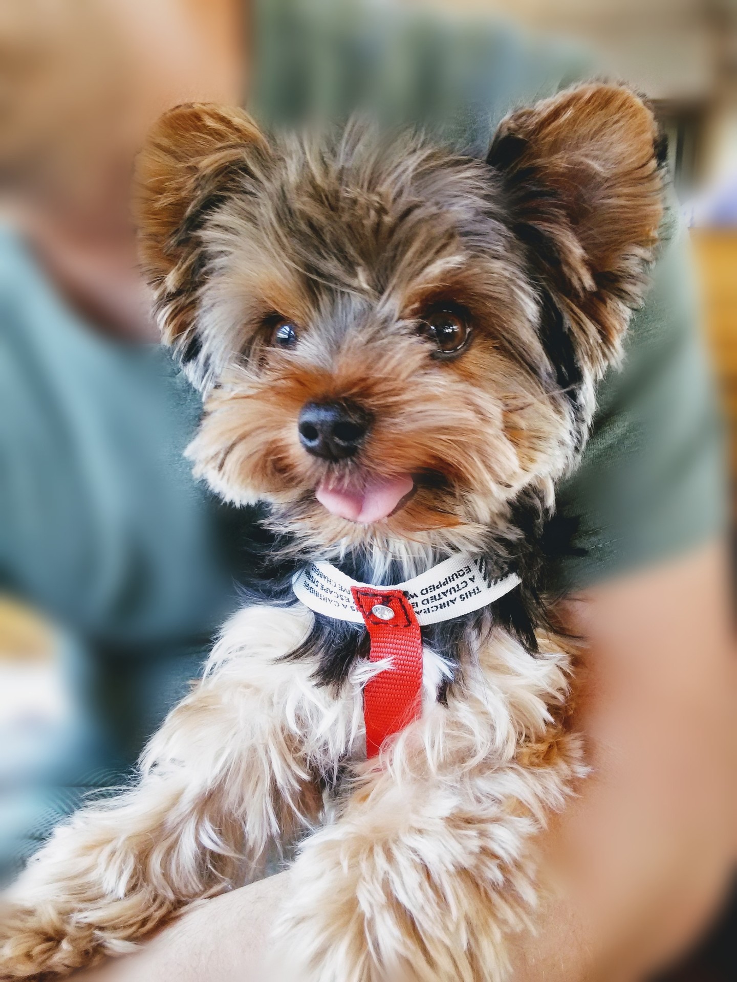 my little love