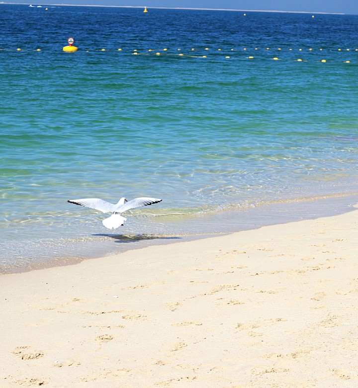 peace at beach