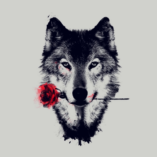 wolf