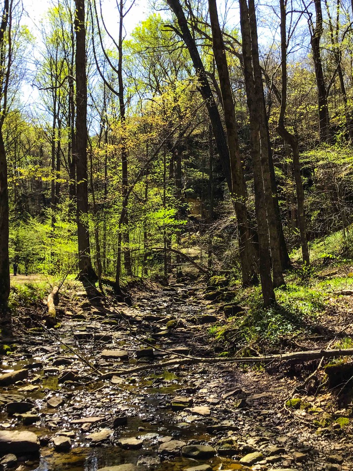 Bubbling Brook
