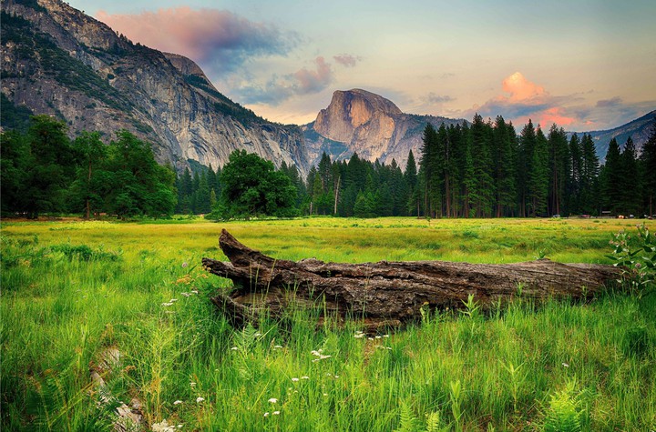 Nature Everest