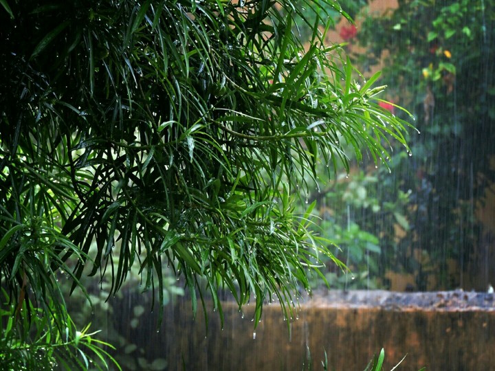 rain