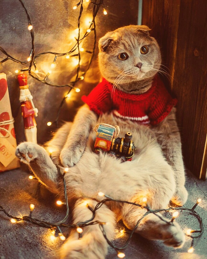 новогодние праздники