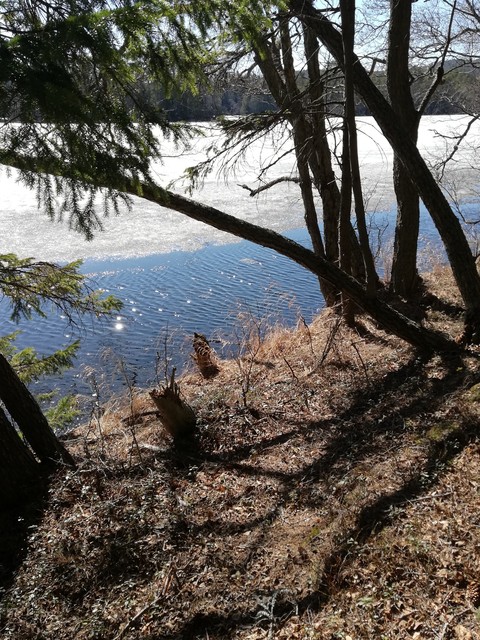 тапети lake, wood