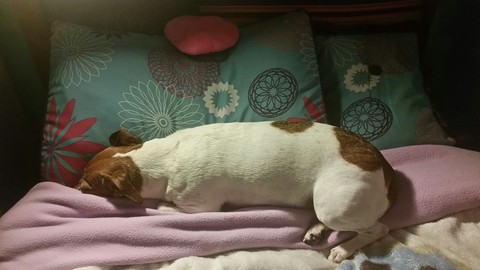 I took your spot