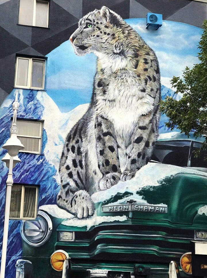 Snow leopard