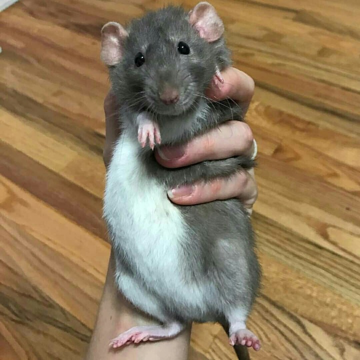 ❤❤❤