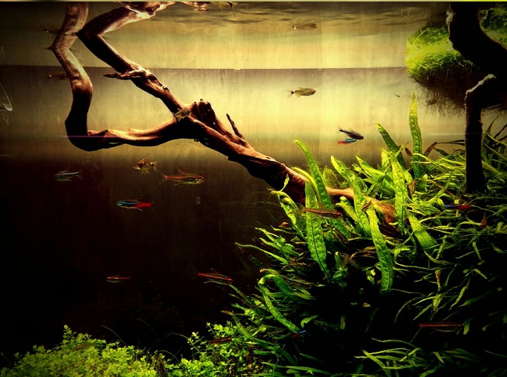 Underwater