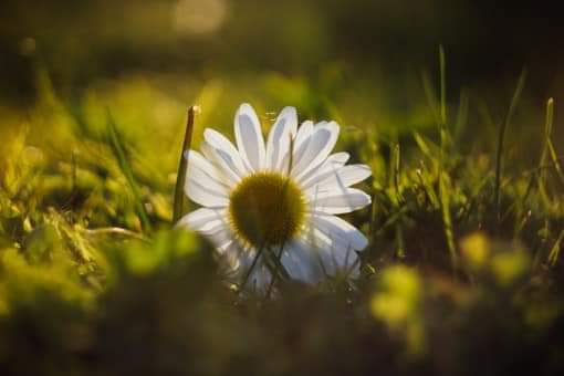 ღ✿◠‿◠✿ღ