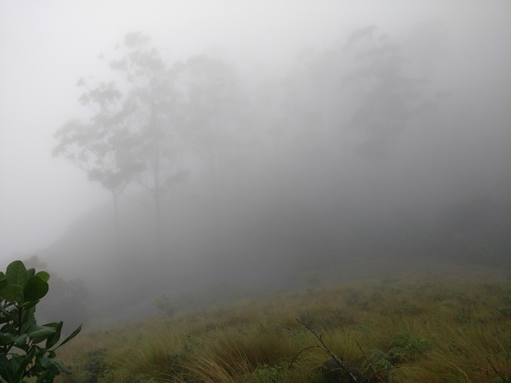 fog