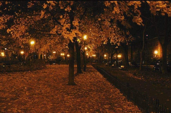 Imagine walking here in autumn night