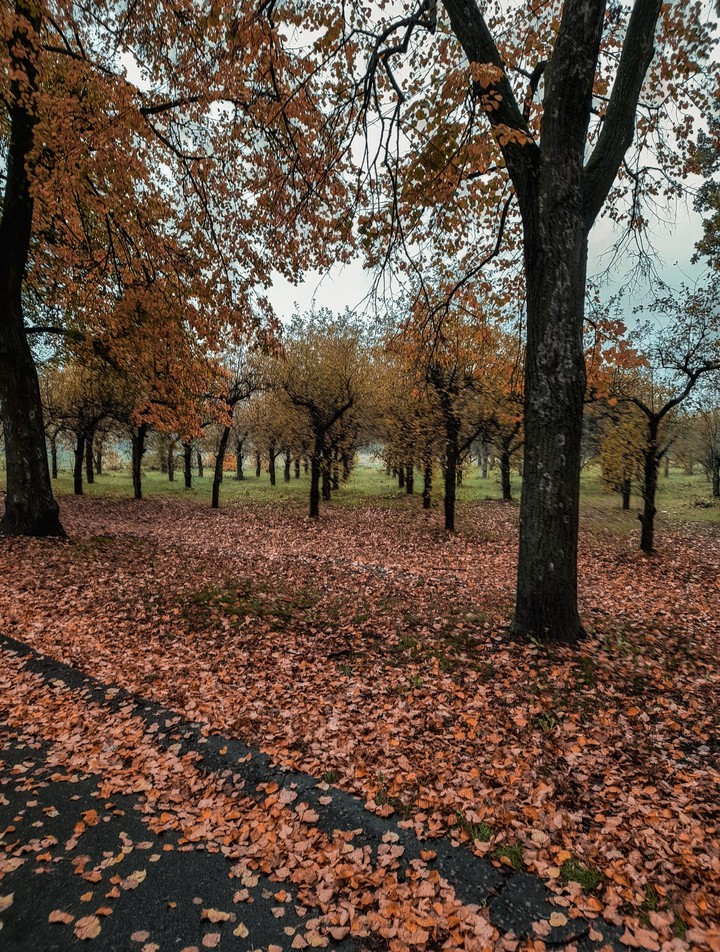 autumn