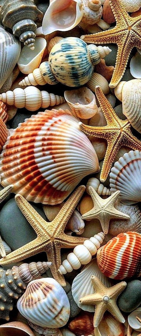 summer, wallpaper duvar kağıtları