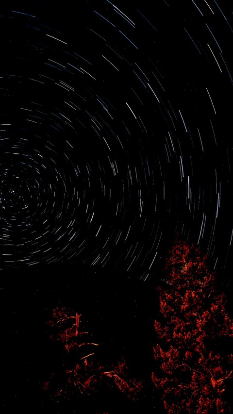 Magical night