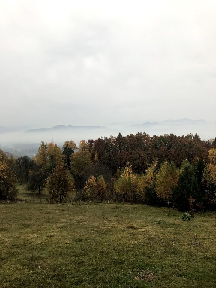 Nature