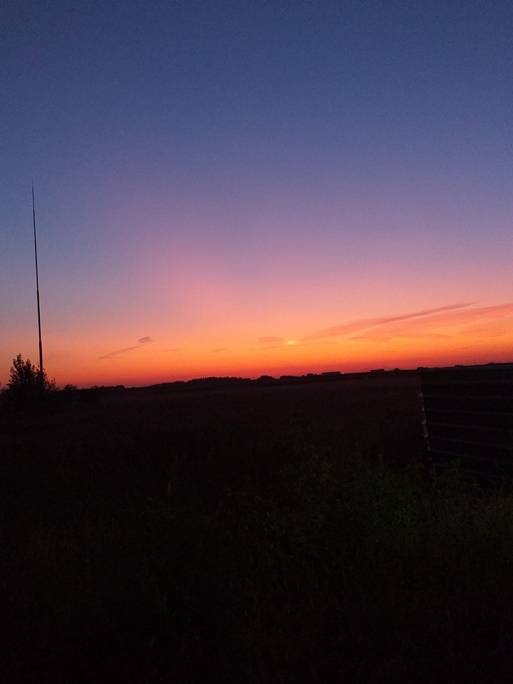 evening