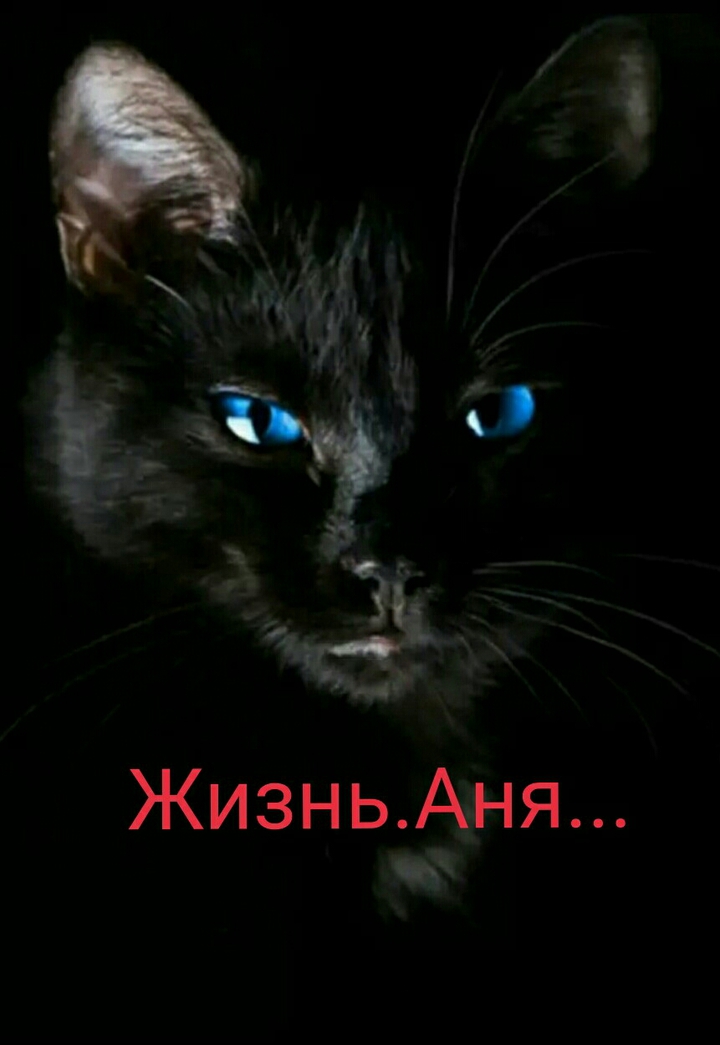 альбом треки какая разница блин ну