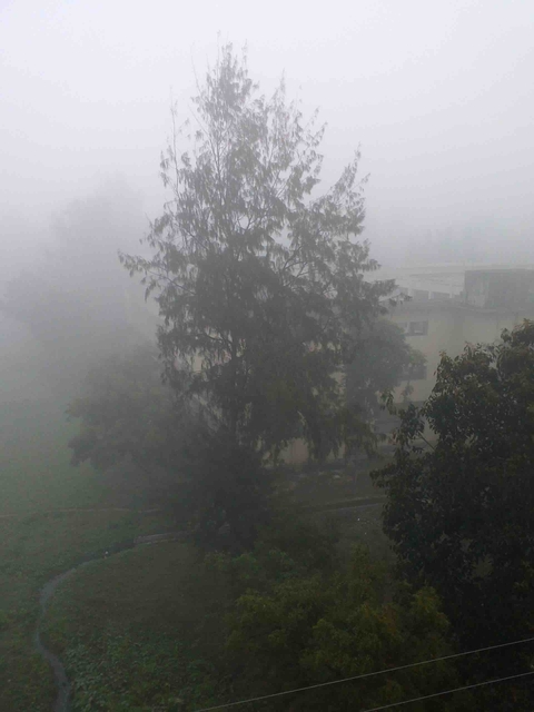 foggy morning