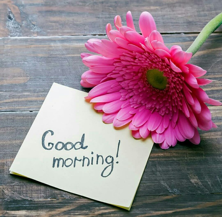GoodMorning