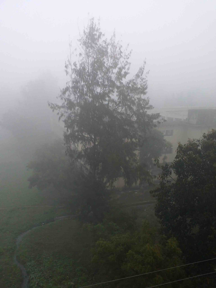 foggy morning