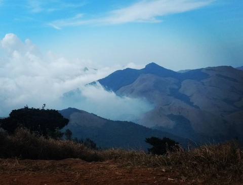 peace range