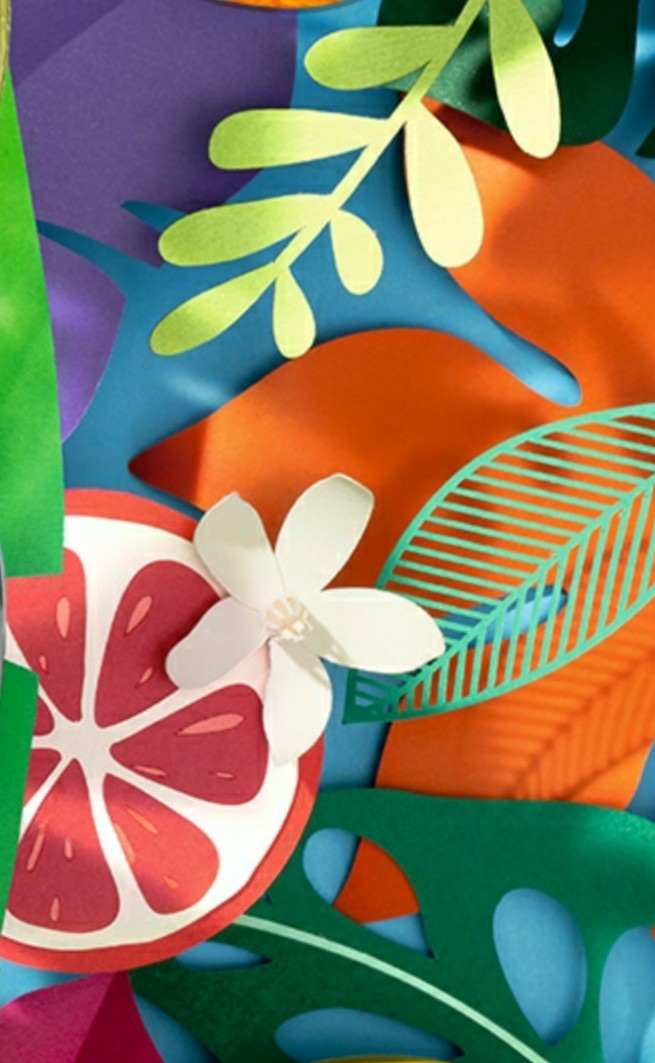 colorful tropical motif