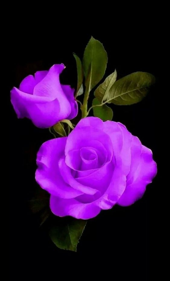 My all very Good friend and amicos Thank you for my 42.