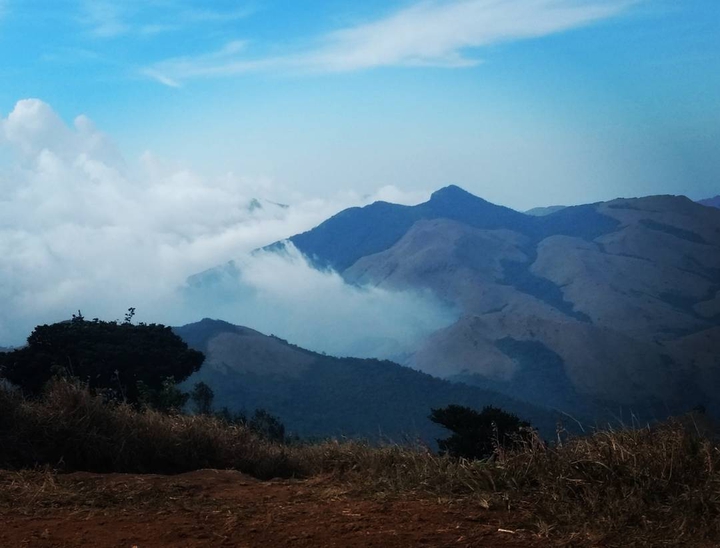 peace range