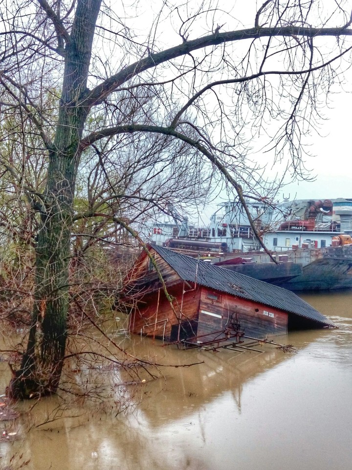 House in water