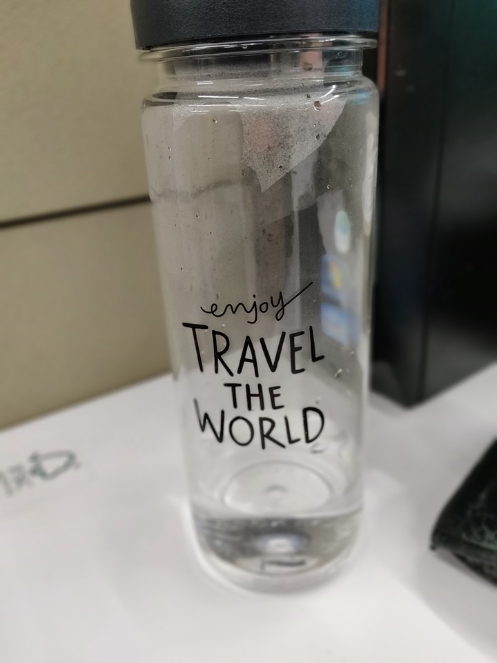 enjoy travel the world