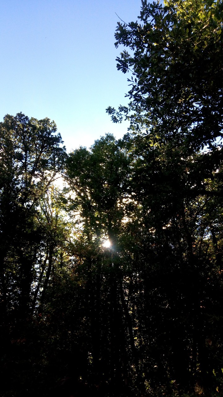 Nel verde