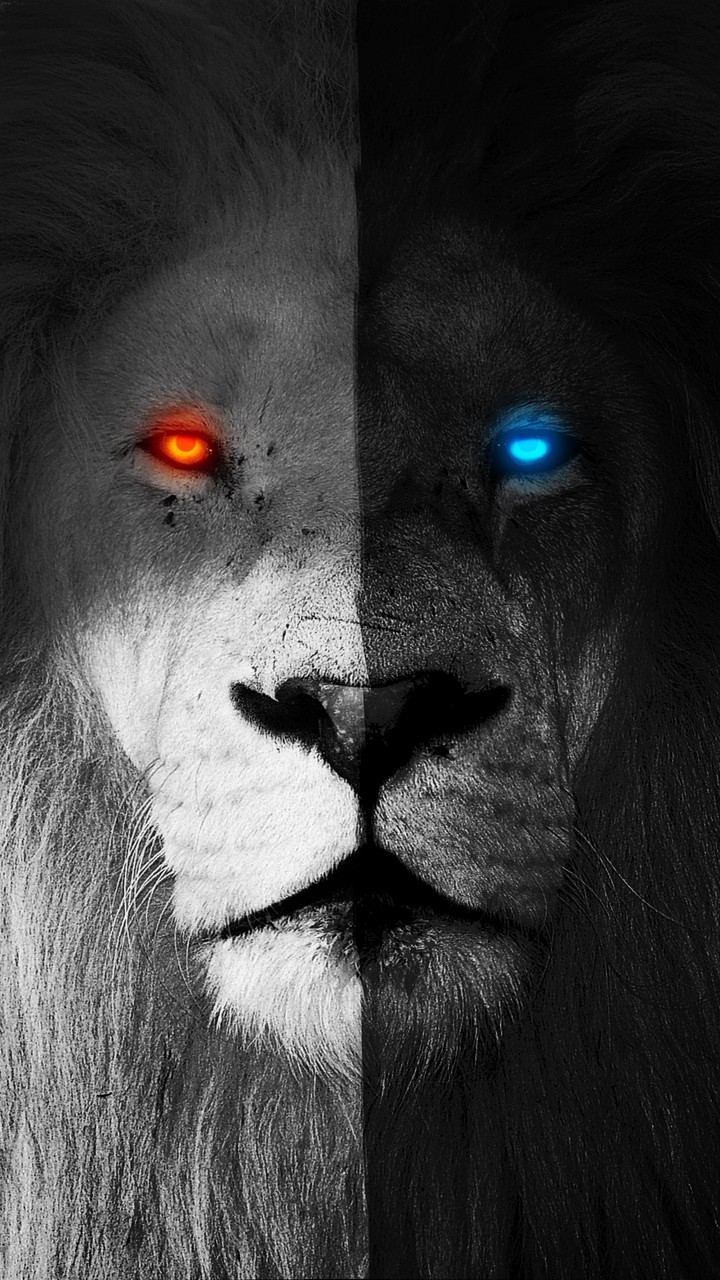 lion