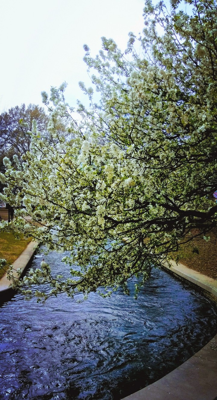 serene