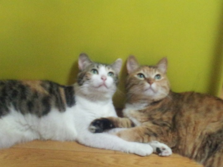 family Mom n daughter