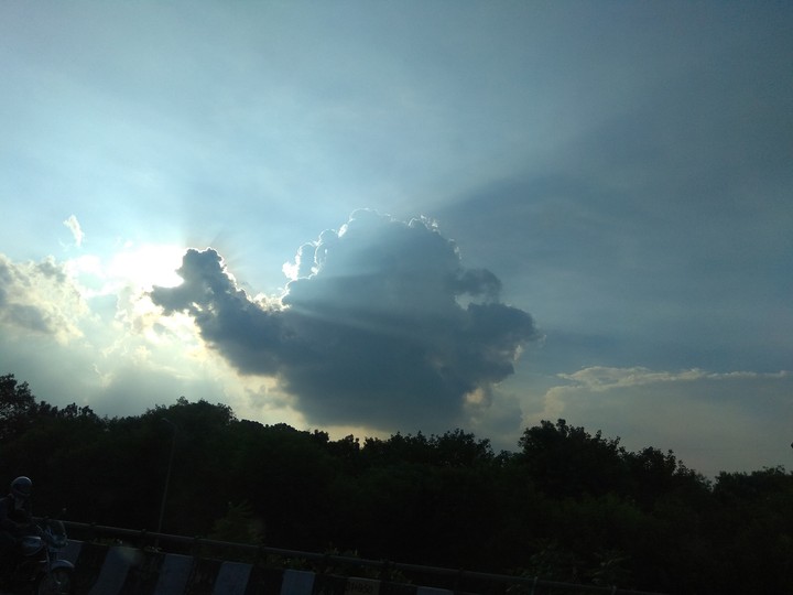 Animal of the sky